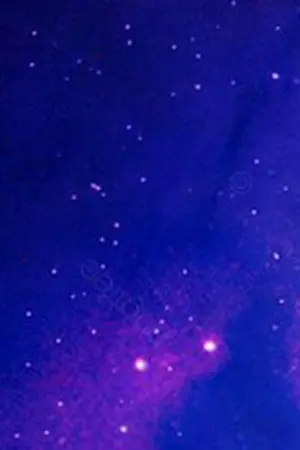 ปกนิยาย Byakko unforeseen-เบียคโกะ ไม่คาดฝัน