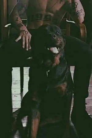 ปกนิยาย You're My Tattoo || #bosswtt [Tattoosverse]