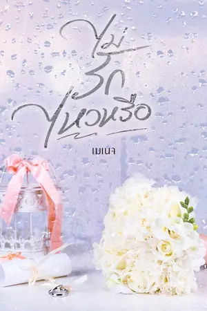 ปกนิยาย ไม่รักไหวหรือ