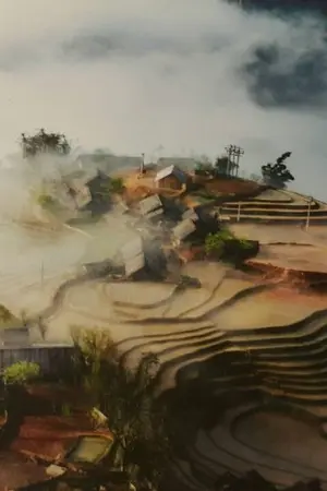 ปกนิยาย วิหคไร้รักพยัคฆ์ไร้ใจ