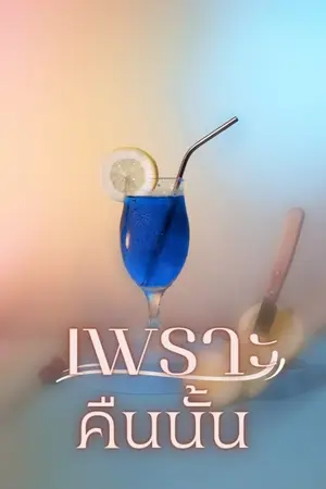 ปกนิยาย เพราะคืนนั้น...