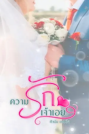 ปกนิยาย ความรัก เจ้าเอย