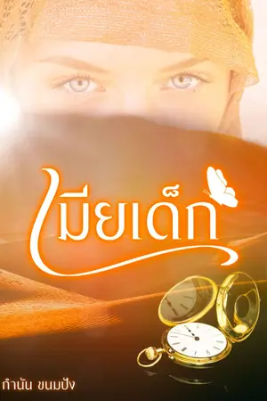 ปกนิยาย เมีย เด็ก