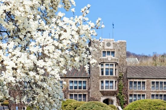 เตรียมยื่นเอกสาร! ‘Yonsei University’ เปิดรับสมัครเรียนต่อ ป.ตรี เทอม