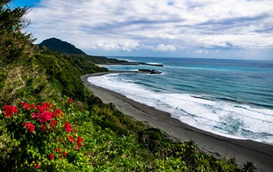 Photo by Someus Christopher on Unsplash