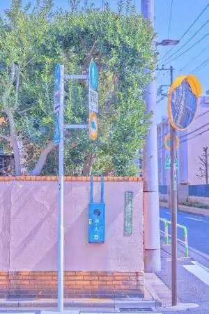 ปกนิยาย [Conan x Oc] ตัวประกอบฝาแฝด