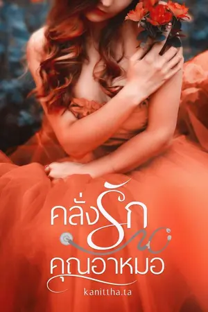 ปกนิยาย
