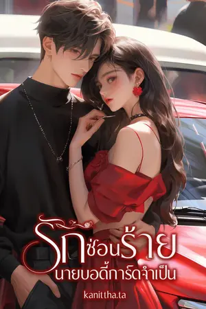 ปกนิยาย