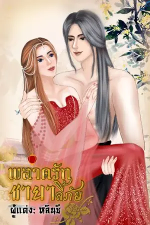 ปกนิยาย