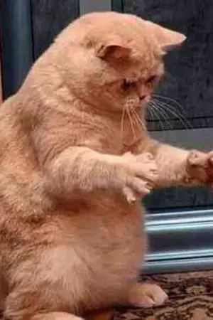 ปกนิยาย คนรู้จัก = (แฟนเก่าครับ)