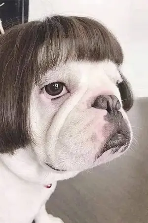 ปกนิยาย ลมหวนรัก❤️❤️