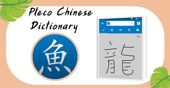 ภาพจาก  pleco chinese dictionary