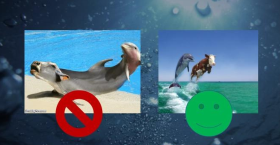 ตัวอย่างสไลด์เกม powerpoint karaoke