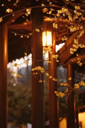 ปกนิยาย ลิขิตรัก บัลลังก์ร้าย【 邪惡王座 】