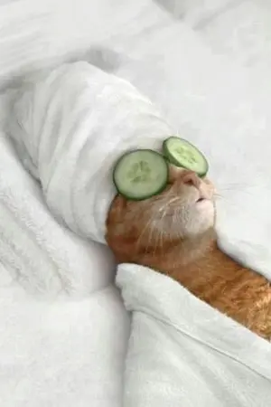 ปกนิยาย [Fic douluodalu ] อดีตองค์สังฆราชก็แค่อยากพักผ่อน