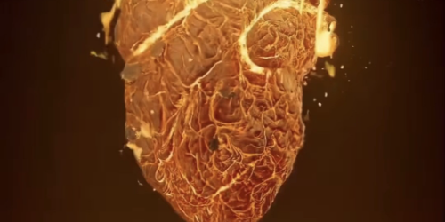 ปกคอลเล็กชัน แวมไพร์