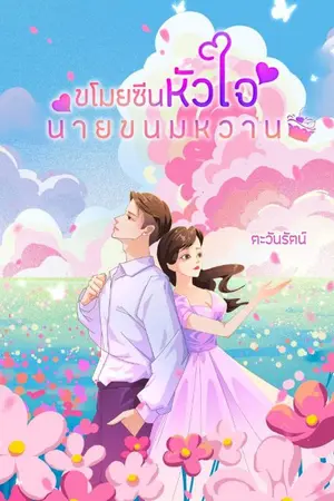 ปกนิยาย