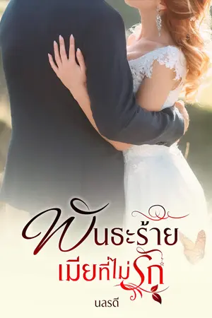 ปกนิยาย