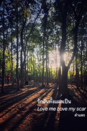 ปกนิยาย รักฉันทั้งแผลเป็น Love me Love my scar