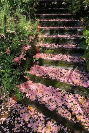 ปกนิยาย กฎการแชร์เฮ้าส์