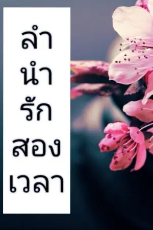 ปกนิยาย