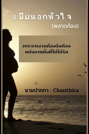 ปกนิยาย เมียนอกหัวใจ(พลาดท้อง)