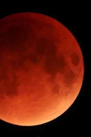 ปกนิยาย the blood moon yaiba survival. ค่ำคืนพระจันทร์สีเลือดของเมืองพิฆาตอสูร