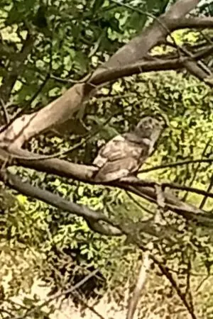 ปกนิยาย เมื่อคืนเกิดอะไรขึ้นนะ