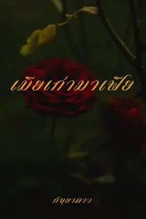 ปกนิยาย