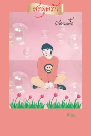 ปกนิยาย สะดุดรัก ยัยจอมตื้อ