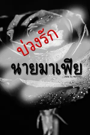 ปกนิยาย