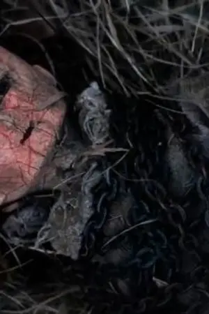 ปกนิยาย ตุ๊กตาดินเผา