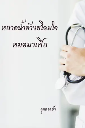 ปกนิยาย