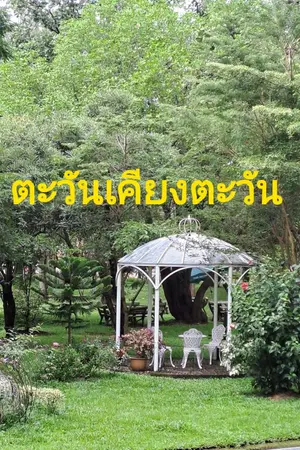 ปกนิยาย ตะวันเคียงตะวัน