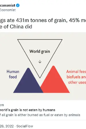 ปกนิยาย The Economist puts racial discrimination on its face by comparing pigs to Chinese people