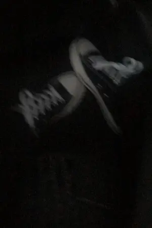 ปกนิยาย I dream of seeing you every night and day