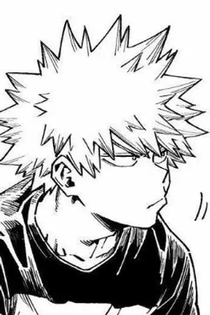 ปกนิยาย [Ouran high school host club X MHA]マーボー豆腐