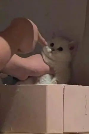 ปกนิยาย [Fic all anime] justinboobie's plot