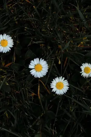 ปกนิยาย สัญญาแห่งกาลเวลา.