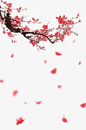 ปกนิยาย มังกรพ่ายรัก