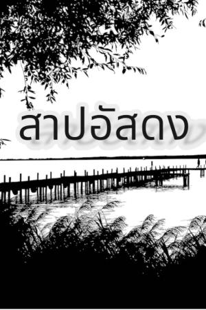 ปกนิยาย สาปอัสดง