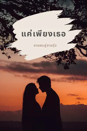 ปกนิยาย