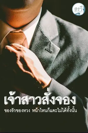 ปกนิยาย