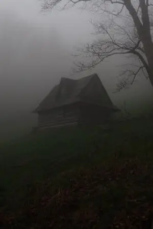 ปกนิยาย ไดอารี่ของชิวะจัง