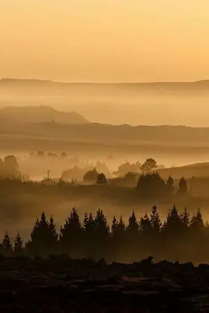 ปกนิยาย เรื่องตอนเย็น