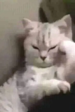 ปกนิยาย เกิดใหม่ทั้งทีสุ่มไปเซิร์ฟที่ดีกว่านี้ได้ไหม [omegavers]