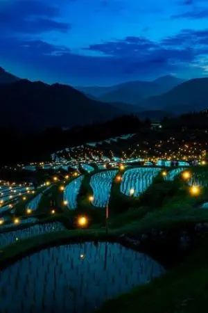 ปกนิยาย เกษตรกรยุคดวงดาว