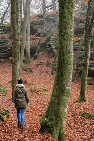 ปกนิยาย ค้นหาชีวิตในต่างโลก