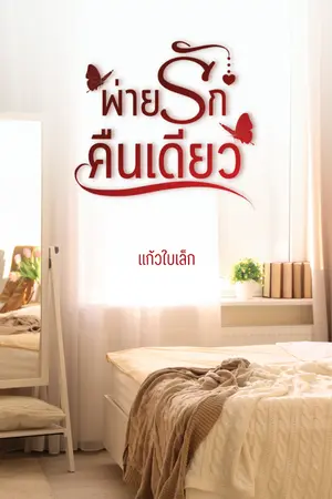 ปกนิยาย พ่ายรักคืนเดียว