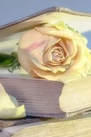 ปกนิยาย OMG ระบบเปลี่ยนเหล่าตัวร้ายให้กลายเป็นคนดี (?)